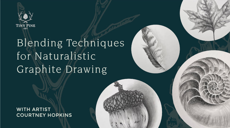 Blending Techniques for Naturalistic Graphite Drawing