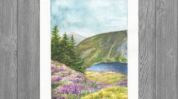 The Heather in Wicklow