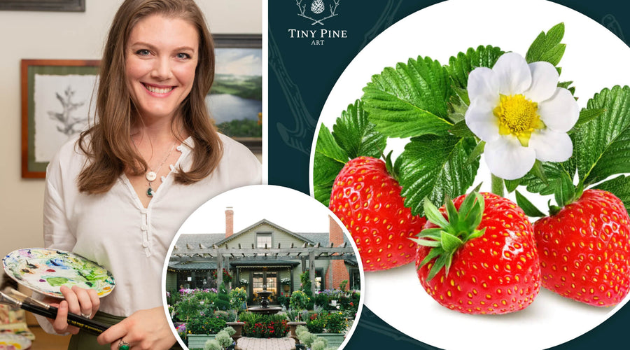 ART WORKSHOP | Watercolor Summer Berries | June 14th, 2026