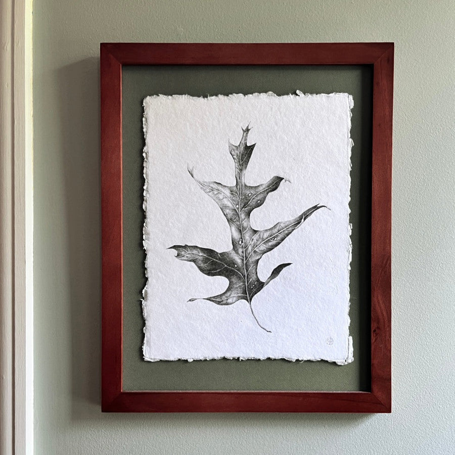 Dried Oak Leaf 1 - Original Drawing