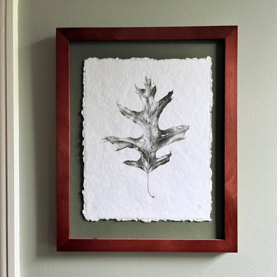 Dried Oak Leaf 2