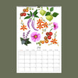 Load image into Gallery viewer, Wall Calendar 2026 - A Year In The Garden (PREORDER)

