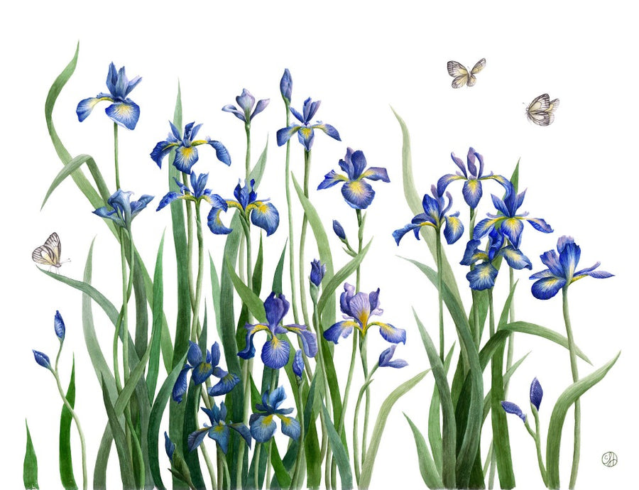 Irises for Mom - Original Painting