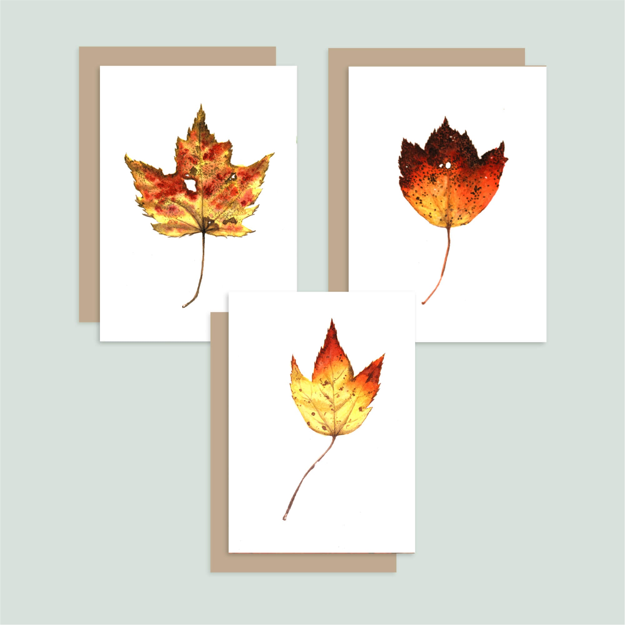 Autumn Leaves Notecard Set – Tiny Pine Art
