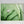 Load image into Gallery viewer, Pleated Inkcap Mushroom
