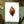 Load image into Gallery viewer, Autumn Leaf Study II Print

