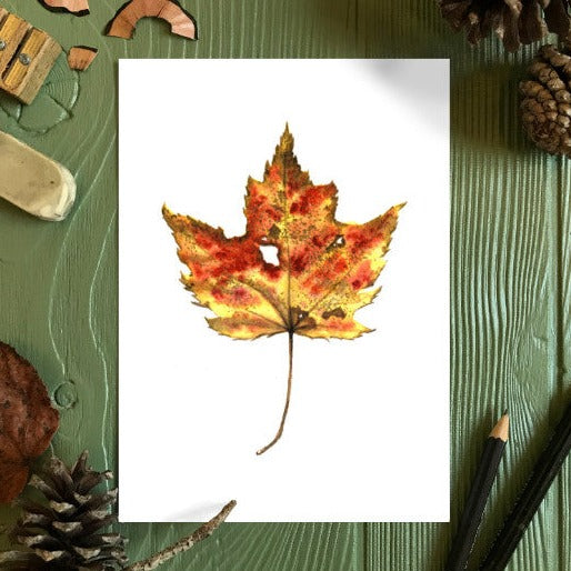 Autumn Leaf Study III Print