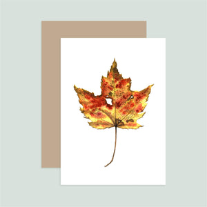 Autumn Leaf 3 Notecard