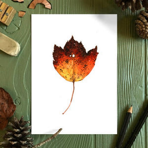 Autumn Leaf Study IV Print