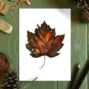 Autumn Leaf Study V Print