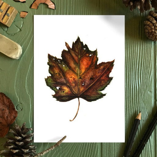 Autumn Leaf Study V Print