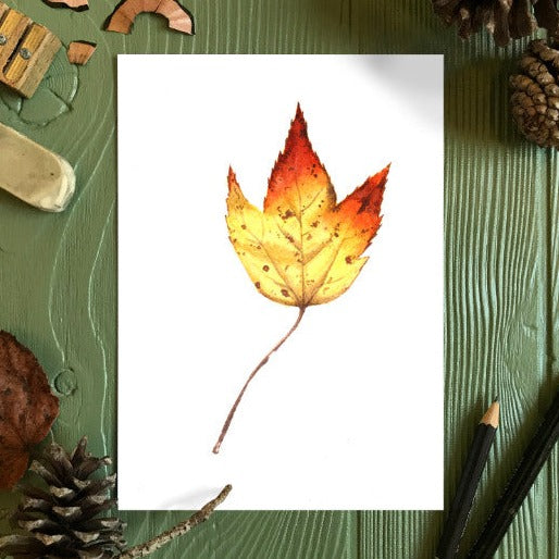 Autumn Leaf Study VIII Print