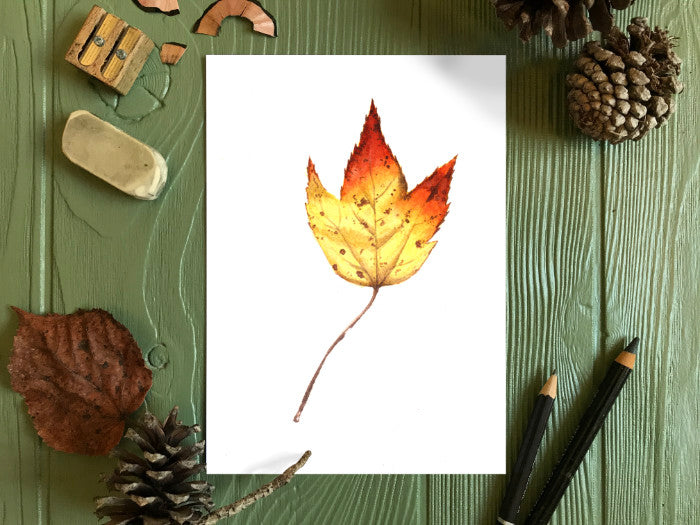 Autumn Leaf Study VIII Print