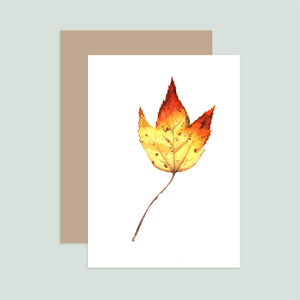 Autumn Leaf 8 Notecard