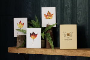 Autumn Leaves Notecard Set
