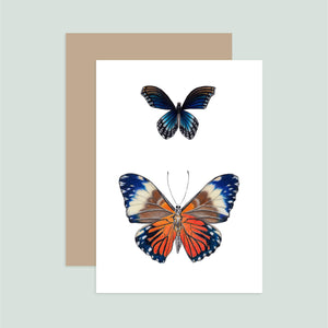 Blue and Orange Butterflies Notecard