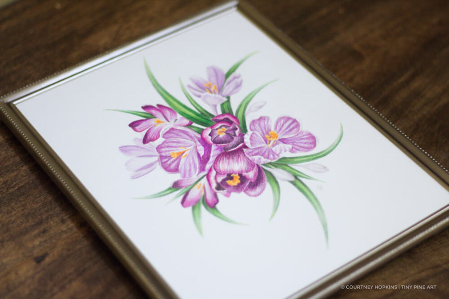 Purple Crocus Flowers - Archival Print