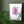 Load image into Gallery viewer, Purple Crocus Flowers - Archival Print
