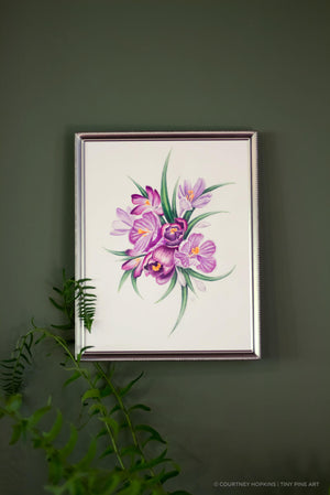 Purple Crocus Flowers - Archival Print