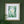 Load image into Gallery viewer, Through the Daffodil Leaves - Print
