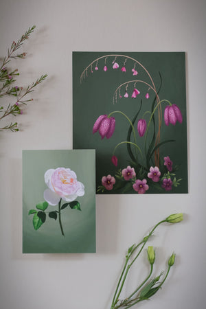 Fool's Spring: Garden Rose Print