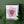 Load image into Gallery viewer, Pink Hellebore Flower Specimen - Archival Print
