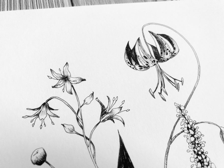 Appalachian Wildflowers closeup detail