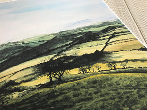 Welsh Countryside Sunrise Print close up