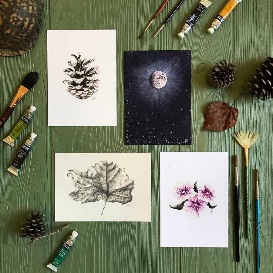 Woodland Pinecone Print in gallery with similar artworks