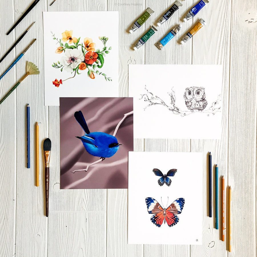Blue and Orange Butterflies art print displayed in gallery with other similar artworks