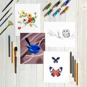 Blue Fairy Wren art print in gallery with other similar artworks