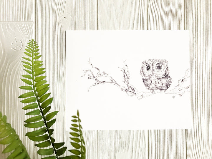 Little Owl On Branch Print on wall with greenery