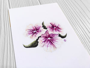 Purple & Peach Morning Glory Flowers Print close up