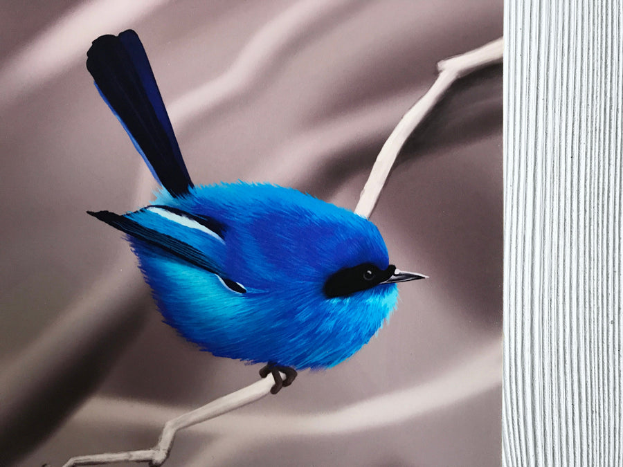 Blue Fairy Wren art print closeup