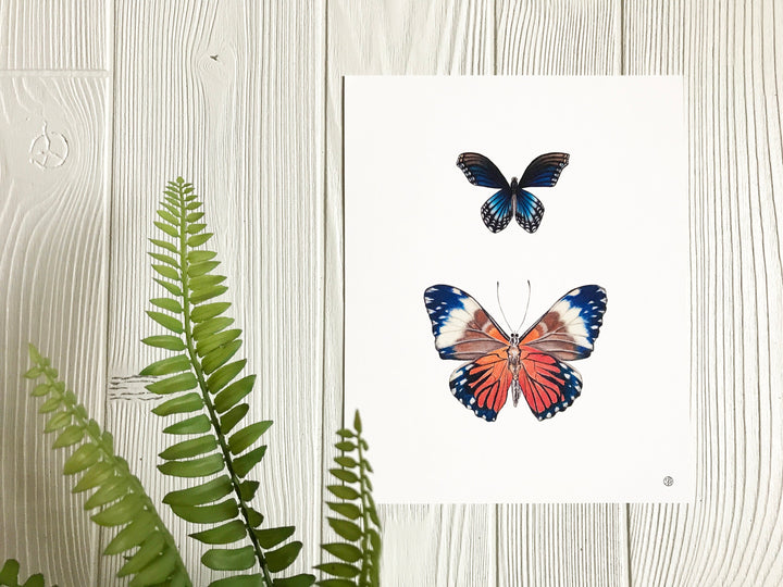 Blue and Orange Butterflies art print displayed on wall