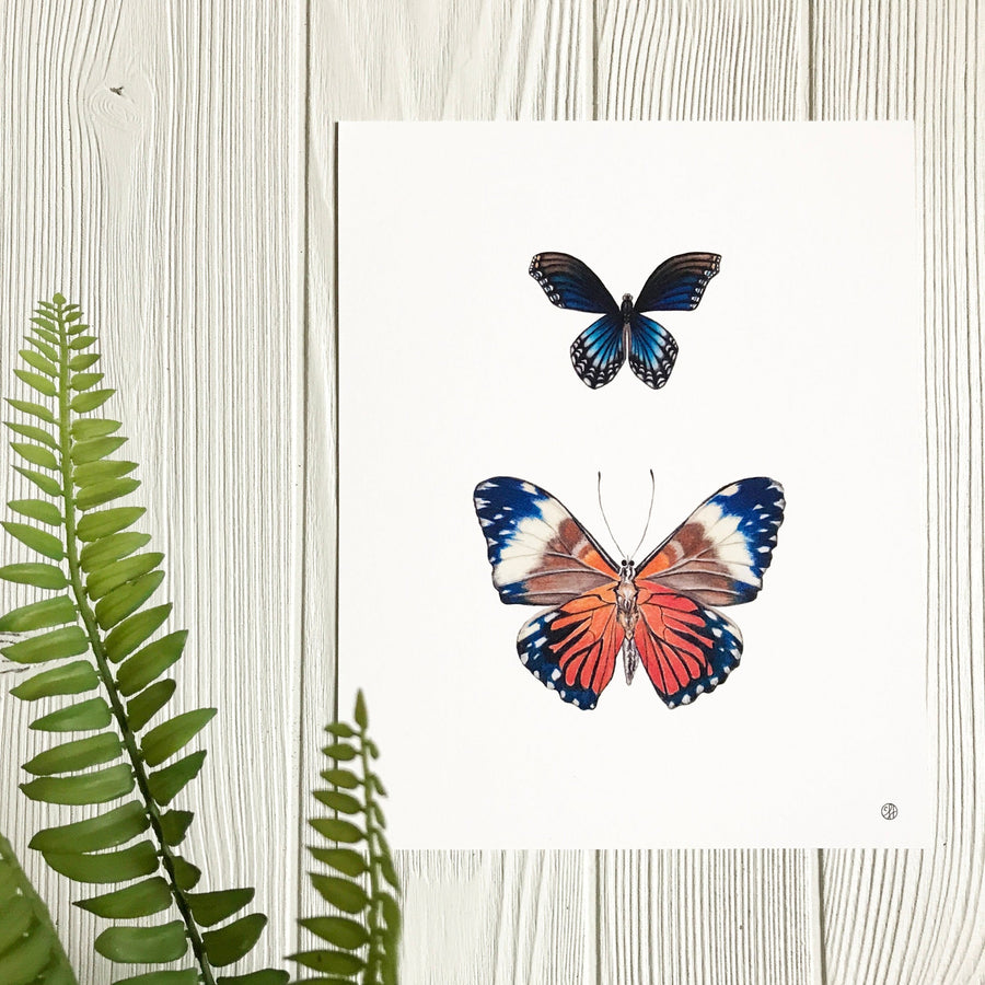 Blue and Orange Butterflies art print displayed on wall