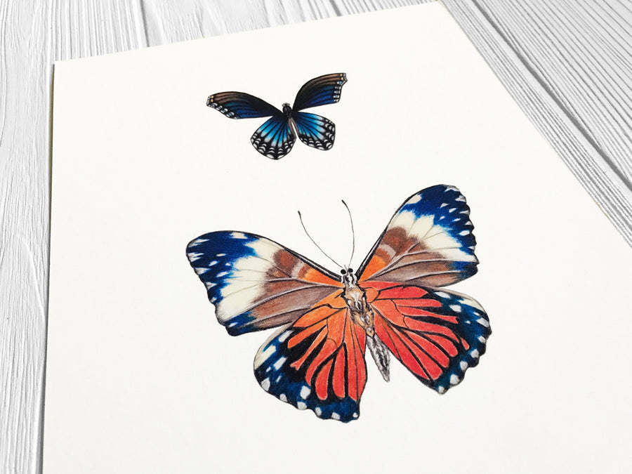 Blue and Orange Butterflies art print closeup