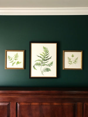 Unfurling Ferns 3 | Original Painting
