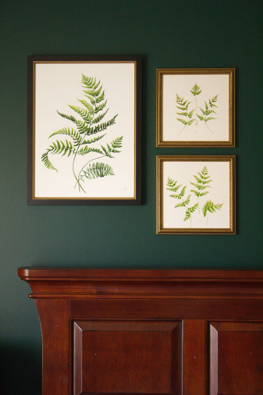 Unfurling Ferns 2 | Original Painting