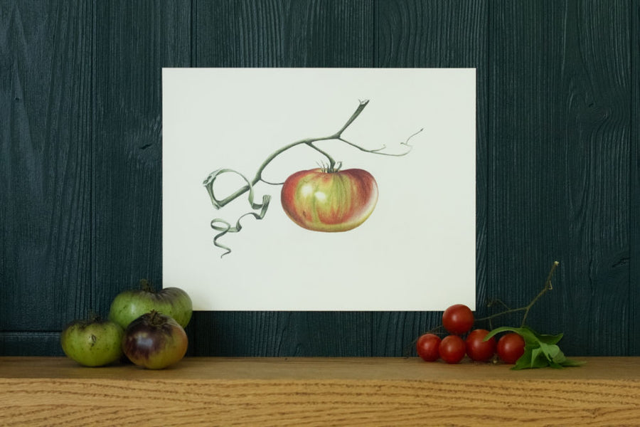 Ripening tomato art print on green background