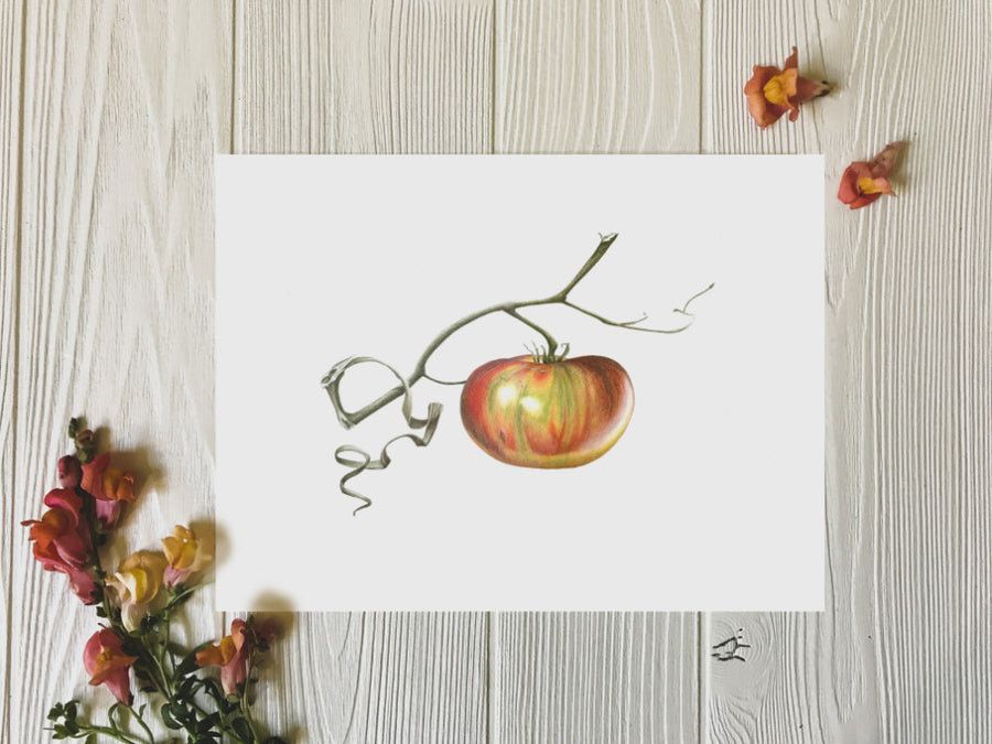 Ripening tomato art print on table with flowers