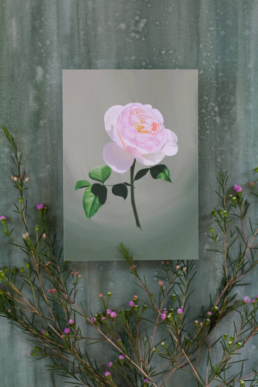 Fool's Spring: Garden Rose Print