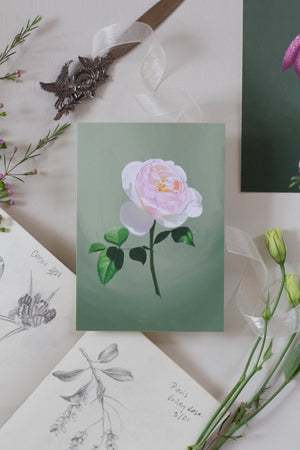 Fool's Spring: Garden Rose Print