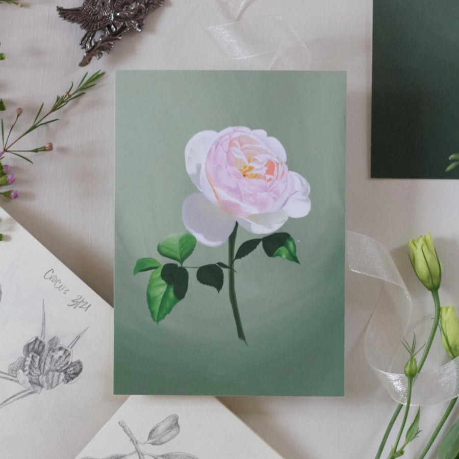 Fool's Spring: Garden Rose Print