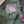 Load image into Gallery viewer, Fool&#39;s Spring: Garden Rose Print
