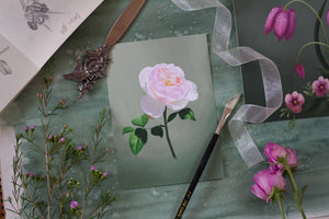Fool's Spring: Garden Rose Print