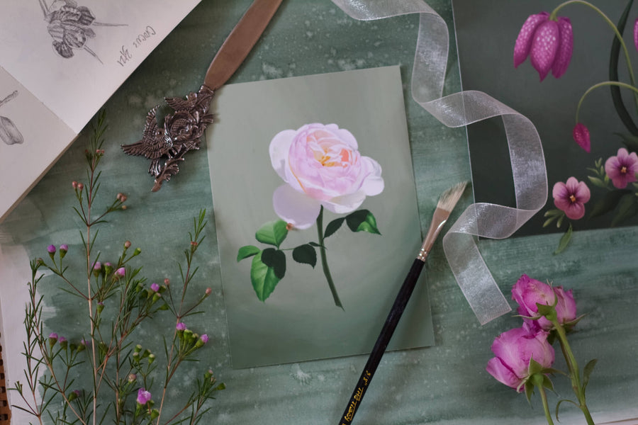 Fool's Spring: Garden Rose Print