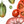 Load image into Gallery viewer, Summer Splendor tomatoes art print close up
