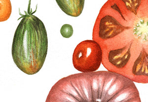 Summer Splendor tomatoes art print close up