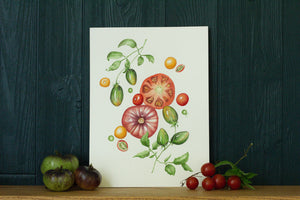 Summer Splendor tomatoes art print on green background